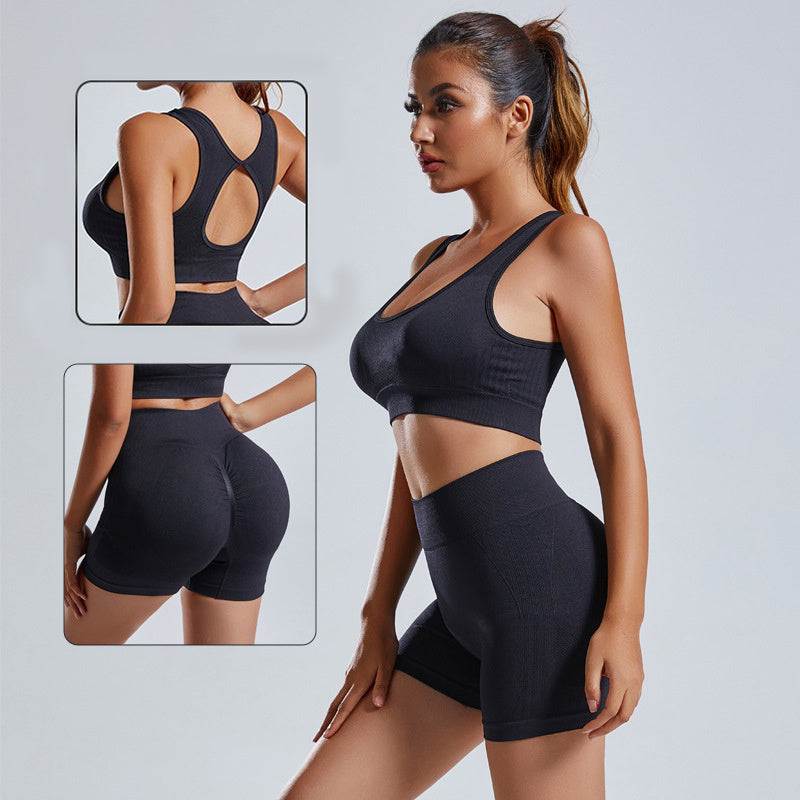 2pcs Yoga Set Women's Vest and Shorts Seamless Workout Wear