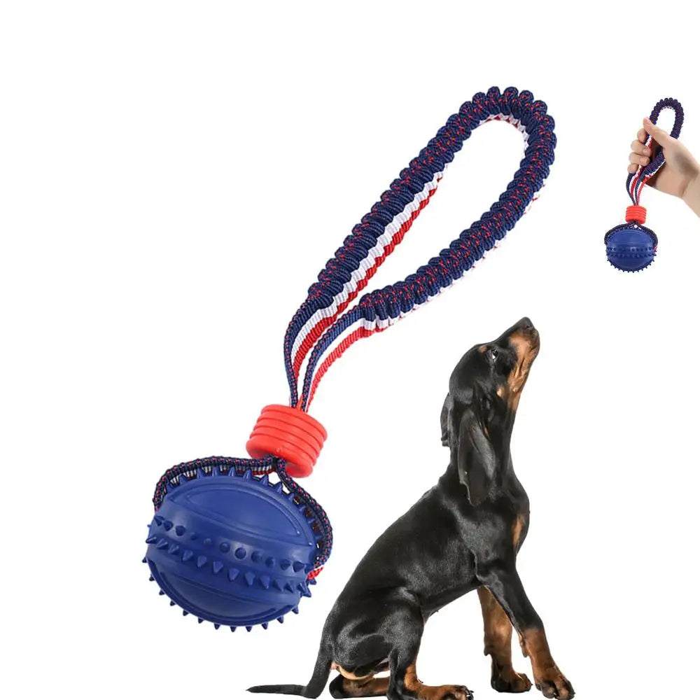 Interactive Dog Toy Ball - Teether with Rope for Dogs
