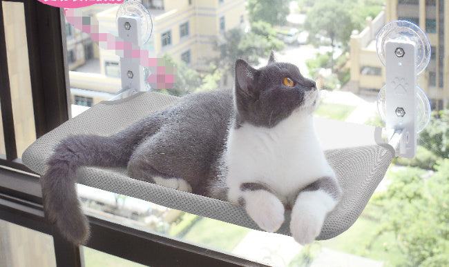 Cat Suction Cup Window Hammock for Pets Plush & Style